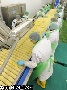 В России растет спрос на биопродукты