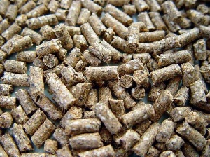 На Смоленщине запускается крупный сельскохозяйственный проект 