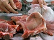 Африканская чума свиней заставит латвийских фермеров продавать мясо по бросовым ценам