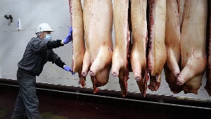 Посол РФ: ввоз мясной продукции из Турции в Россию возрос в 10 раз