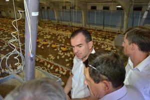 Птицефабрика "Уманская" восстанавливает производство Птицефабрика "Уманская" восстанавливает производство