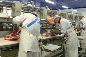 МПК «Луч» переносит начало строительства мясоперерабатывающего комплекса в Липецкой области