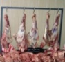 С 7 февраля будут запрещены поставки в ТС продукции животноводства с 9 бельгийских предприятий
