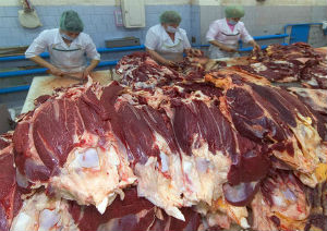 Россия сохранит запрет на импорт мяса из США из-за использования рактопамина Россия сохранит запрет на импорт мяса из США из-за использования рактопамина