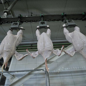 Птицефабрика "Рефтинская" за счет инвестиций начнет выпуск новой продукции