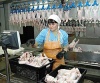 Борьба за свердловские предприятия в самом разгаре. Работники «Первоуральской» птицефабрики написали письмо Холманских