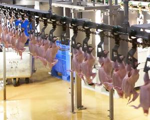 В России производство мяса птицы в январе снизилось на 3,8%. Сказались низкие цены и остановка предприятий «Белой птицы»