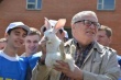 Депутаты ЛДПР принесли в Госдуму кролика, чтобы привлечь внимание к развитию животноводства в стране