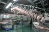 «Раевской» подрежут крылья. Птицефабрике грозит банкротство