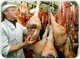 Белгородская область побила свой собственный рекорд производства мяса