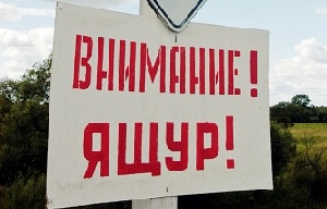 Забайкальский край получил 900 тыс. доз новой вакцины от ящура