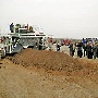 Взять быка за рога