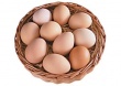 Производство яиц в Краснодарском крае в январе выросло на 12%