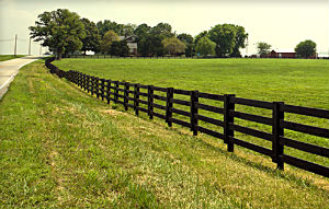 Путин подписал закон, регулирующий вопросы осуществления прав на земельные участки