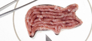 В июне запасы свинины в США сократились на 25% в годовом исчислении