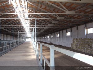 Александр Карлин: Проект животноводческого комплекса в Бурлинском районе можно эффективно применить в любом районе Алтайского края