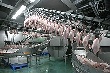 «Раевской» подрежут крылья. Птицефабрике грозит банкротство