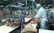 В Воронежской области строят мясокомбинат за 6 млрд рублей