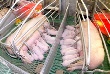 Летом 2012 года «КоПИТАНИЯ» может приступить к строительству свинокомплекса в Пермском районе