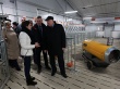 Поголовье свиней планируется увеличить в Нижегородской области в 1,5 раза в 2015 году