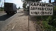 Карантин по АЧС снят на всей территории Волгоградской области