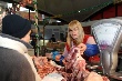 В Волгоградской области подготовлена программа по борьбе с опасным заболеванием свиней