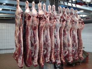 РФ за два месяца увеличила производство мяса и мясных продуктов на 17,8%