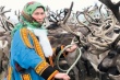 Губернатор Красноярского края обсудил с представителями коренных народов Севера края развитие оленеводства