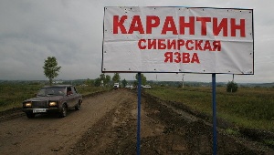 В Волгоградской области снят карантин по сибирской язве