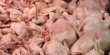 Британцы будут выпускать продукты из мяса птицы в Киевской области