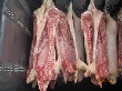 Еженедельный обзор внешних рынков мяса от 25.03.13
