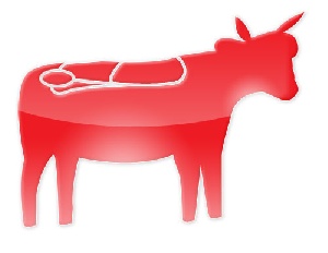 Rabobank: Мировые поставки говядины останутся ограниченными