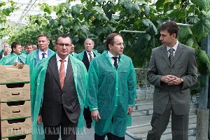 Регионы СКФО имеют большой потенциал по импортозамещению, считает Николай Федоров