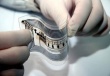 Производители молока выступили против RFID-меток для молочной продукции