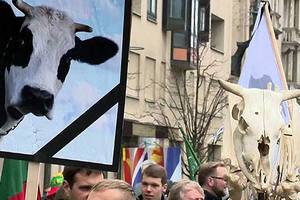 Массовая акция протеста фермеров прошла в Вильнюсе