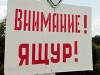 В Карачаево-Черкесии из-за ящура объявлен карантин