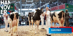 EuroTier-2014: День первый EuroTier-2014: День первый