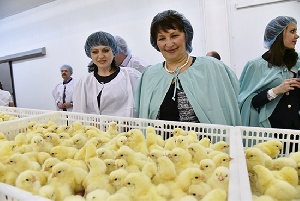 Свердловские депутаты предложили запретить приватизацию лучших предприятий агропрома