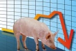 Свинина не в цене. Падение цен на свинину в России продолжается седьмой месяц