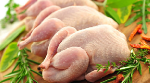 Эксперт оценил вероятность повышения цен на мясо птицы