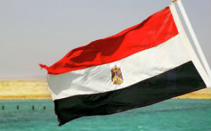 Минсельхоз РФ: Египет может заключить соглашение о зоне свободной торговли с Таможенным союзом