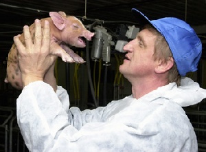 В Краснодаре открылся 26-й съезд фермеров Кубани