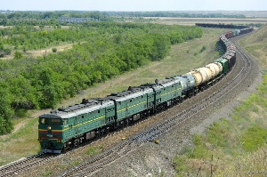 Около 80 тонн шкур КРС пытались незаконно провезти из Казахстана в Киргизию Около 80 тонн шкур КРС пытались незаконно провезти из Казахстана в Киргизию