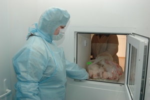 Половина мясных изделий на прилавках Кемеровской области - подделка