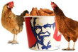 Открылся первый ресторан KFC в Узбекистане
