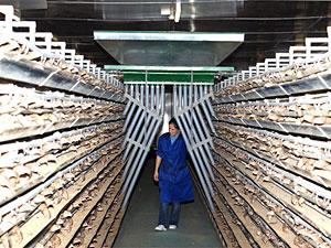 "Угличская птицефабрика" завершает модернизацию производства на предприятии в Сергиевом Посаде