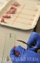 О повышении качества и безопасности продуктов говорили в госветслужбе Ставропольского края