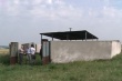 Эстония на границе с Россией организовала могильник больного скота