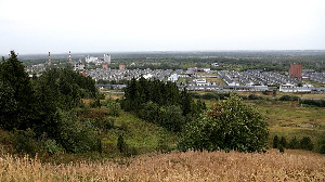 Краевые власти продолжают финансовую поддержку Пермского свинокомплекса