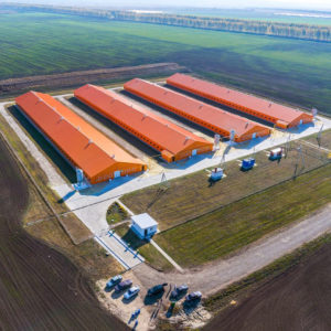 «Дамате» нарастила производство продукции глубокой переработки до 1 тысячи тонн в месяц